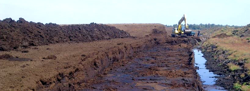 Humuswerke Worpswede produziert seit 2006 in Neu Sankt J&uuml;rgen Champignondeckerde.